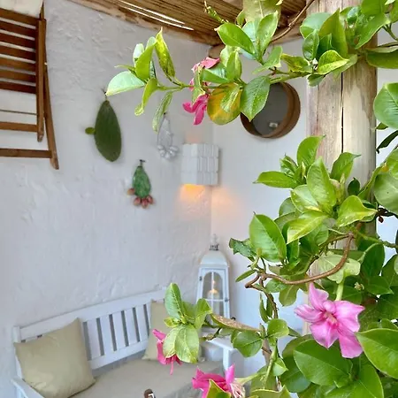 Apartamento Grezze Mura *