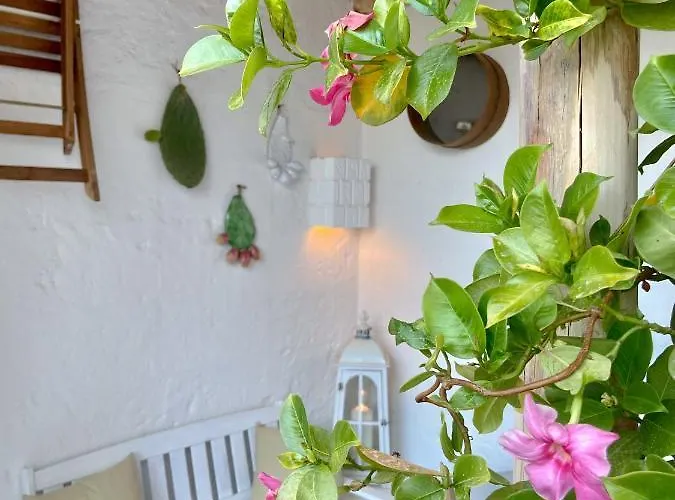 Apartment Grezze Mura *